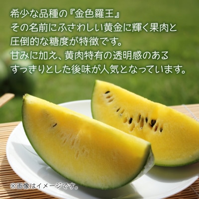 先行受付 八色原産 赤玉&黄色すいか 2～4L 計2玉 金色羅王 食べ比べ 新潟県 南魚沼市