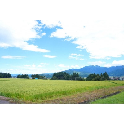 【令和7年産】2kg/南魚沼産コシヒカリ　精米　うちやま農園のお米/発祥の地