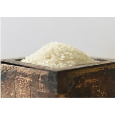 【令和7年産】5kg/南魚沼産コシヒカリ　精米　うちやま農園のお米/発祥の地