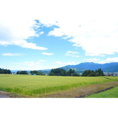 【令和7年産】5kg/南魚沼産コシヒカリ　精米　うちやま農園のお米/発祥の地