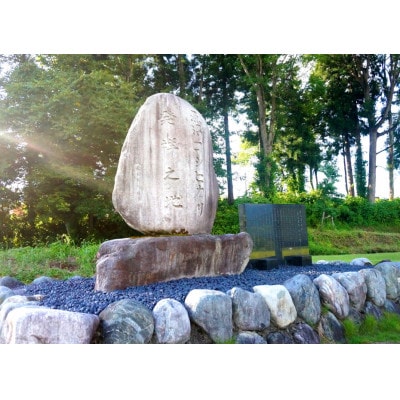 【令和7年産】5kg/南魚沼産コシヒカリ　精米　うちやま農園のお米/発祥の地