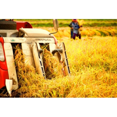 【令和7年産】5kg/南魚沼産コシヒカリ　精米　うちやま農園のお米/発祥の地