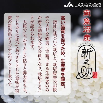 【令和7年産《新米》】「南魚沼産新之助」精米 10kg(2kg×5袋)