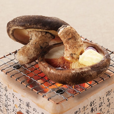 【家庭用】厚いにもほどがある「八色しいたけ」1.5kg(250g×6袋) 訳あり 不揃い 農家応援