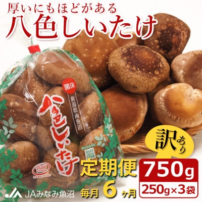【毎月定期便】【家庭用】「八色しいたけ」750g(250g×3袋) 訳あり 不揃い全6回