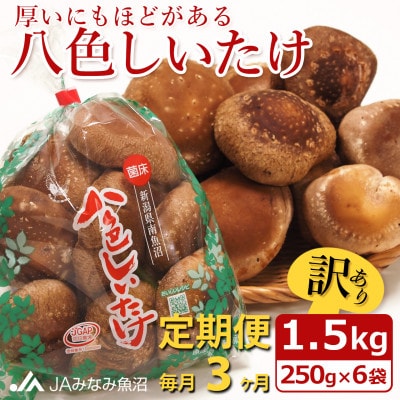 【毎月定期便】【家庭用】「八色しいたけ」1.5kg(250g×6袋) 訳あり 不揃い全3回