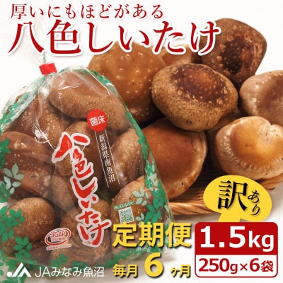 【毎月定期便】【家庭用】「八色しいたけ」1.5kg(250g×6袋) 訳あり 不揃い全6回