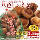 【毎月定期便】【家庭用】「八色しいたけ」1.5kg(250g×6袋) 訳あり 不揃い全9回
