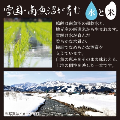 鶴齢 純米吟醸・純米大吟醸 720ml×各3本(計6本)