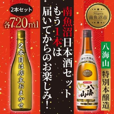 日本酒 【1本は店主のお任せ】 南魚沼産酒ガチャ 2本セット 竹コース 八海山特別本醸造