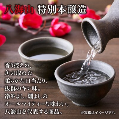 日本酒 【1本は店主のお任せ】 南魚沼産酒ガチャ 2本セット 竹コース 八海山特別本醸造