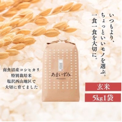 【令和7年産新米予約】南魚沼産コシヒカリ あまいずみ 玄米5kg 特別栽培米