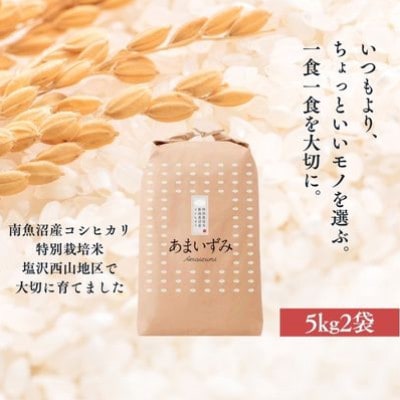 【令和7年産新米予約】南魚沼産コシヒカリ あまいずみ 白米5kg×2袋 特別栽培米