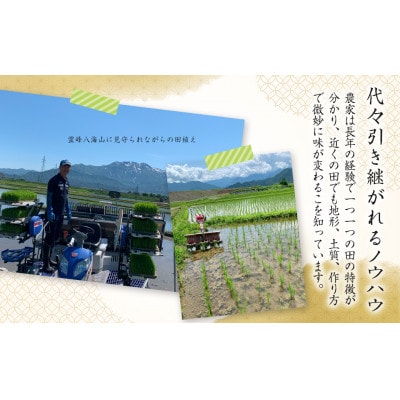 【毎月定期便】南魚沼産こしひかり　白米5kg(5kg×1袋)全3回