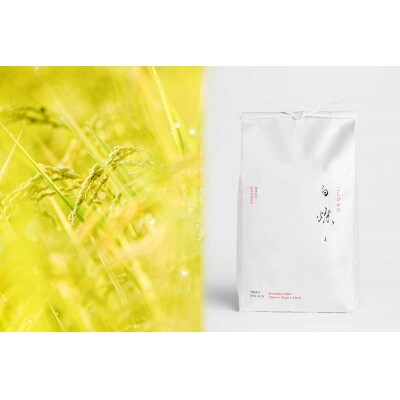 【令和7年産新米】南魚沼君沢産こしひかり　白燦々5kg【玄米】(従来品種)