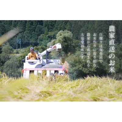 【令和7年産新米】南魚沼君沢産こしひかり　白燦々5kg【玄米】(従来品種)