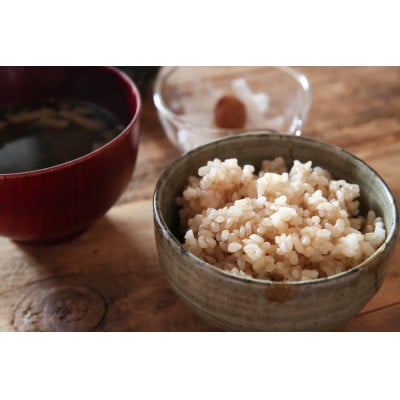 【令和7年産新米】南魚沼君沢産こしひかり　白燦々10kg【玄米】(従来品種)