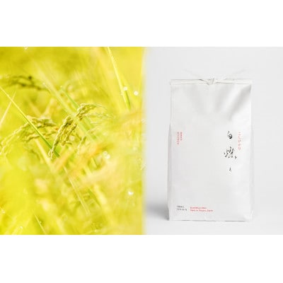 【令和7年産新米】南魚沼君沢産こしひかり　白燦々10kg【白米】(従来品種)