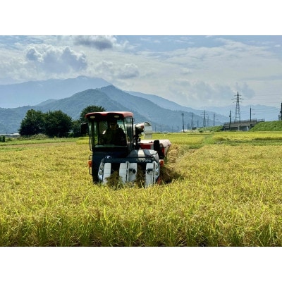 【令和7年産】南魚沼産コシヒカリ 精米 白米5kg