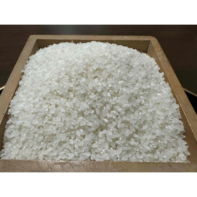 【令和7年産】南魚沼産コシヒカリ 精米 白米5kg