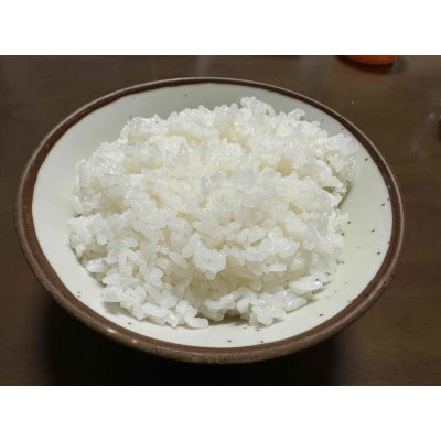 【令和7年産】南魚沼産コシヒカリ 精米 白米5kg