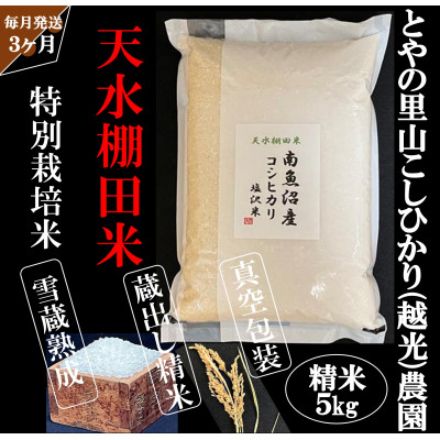 【毎月定期便】とやの里山継承プロジェクト対象【天水棚田米】雲海望む山間地産こしひかり精米5kg全3回