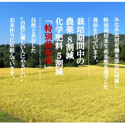 【毎月定期便】とやの里山継承プロジェクト対象【天水棚田米】雲海望む山間地産こしひかり精米5kg全3回