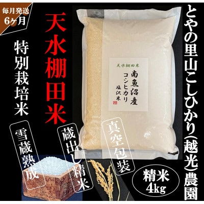 【毎月定期便】とやの里山継承プロジェクト対象【天水棚田米】雲海望む山間地産こしひかり精米4kg全6回