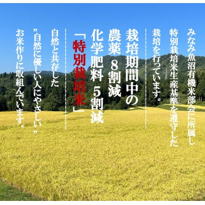 【毎月定期便】とやの里山継承プロジェクト対象【天水棚田米】雲海望む山間地産こしひかり精米4kg全2回