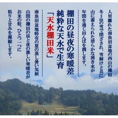 【毎月定期便】とやの里山継承プロジェクト対象【天水棚田米】雲海望む山間地産こしひかり精米3kg全2回