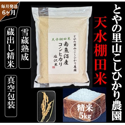 【毎月定期便】【天水棚田米】塩沢産コシ精米5kg　とやの里山継承プロジェクト全6回