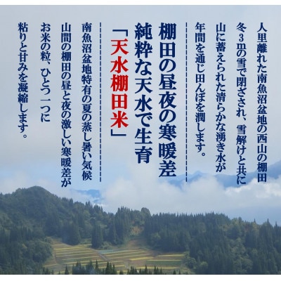 【毎月定期便】【天水棚田米】塩沢産コシ精米4kg　とやの里山継承プロジェクト全6回