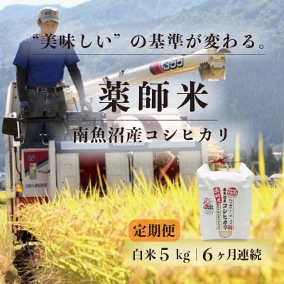 【毎月定期便】【南魚沼市食味コンテスト優秀賞】南魚沼産コシヒカリ 薬師米 白米5kg全6回