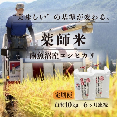 【毎月定期便】【南魚沼市食味コンテスト優秀賞】南魚沼産コシヒカリ 白米10kg(5kg×2袋)全6回