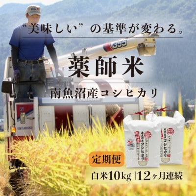 【毎月定期便】【南魚沼市食味コンテスト優秀賞】南魚沼産コシヒカリ 白米10kg(5kg×2)全12回