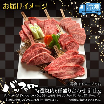 特選焼肉6種盛り合わせ 1kg