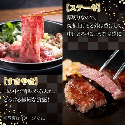 サーロイン すきやき ステーキ食べ比べセット 1kg 新潟県 南魚沼市