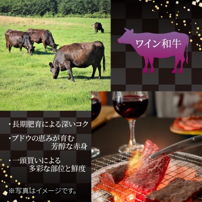 サーロイン すきやき ステーキ食べ比べセット 1kg 新潟県 南魚沼市