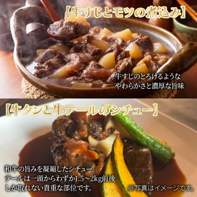 牛すじとモツの煮込み・牛タンと牛テールのシチュー食べ比べセット 6パック