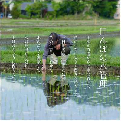 【令和8年産新米予約】南魚沼食味コンクール4年連続優秀賞　塩沢地区限定米5kg
