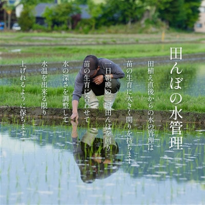 【令和8年産新米予約】南魚沼食味コンクール4年連続優秀賞　塩沢地区限定米20kg