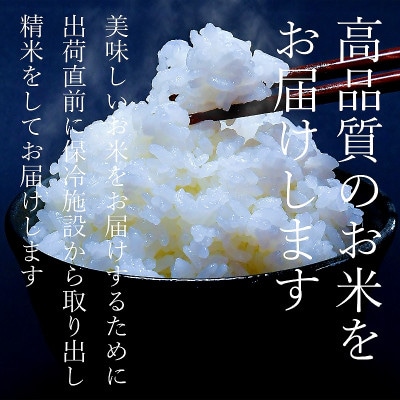【令和8年産新米予約】南魚沼食味コンクール4年連続優秀賞　栽培期間中農薬不使用特別栽培米 5kg
