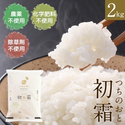 【令和4年産新米受付】栽培期間中農薬不使用 岐阜県ハツシモ 精米2kg(酵素ミネラル農法)