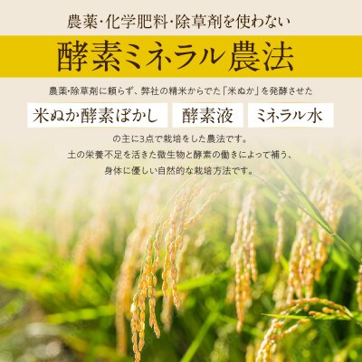 【令和4年産新米受付】栽培期間中農薬不使用 岐阜県ハツシモ 精米2kg(酵素ミネラル農法)