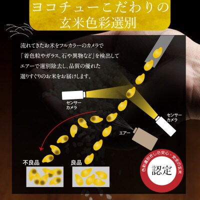 玄米】 岐阜県産ハツシモ 30kg 令和6年産 | 岐阜県羽島市