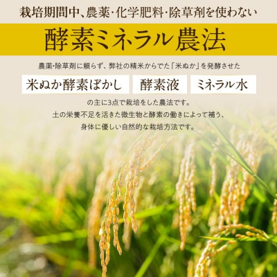 「つちのおと」玄米初霜パックご飯　20個