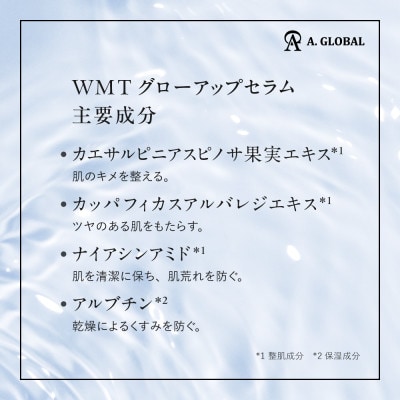WMT GLOW UP SERUM　(美容 スキンケア)