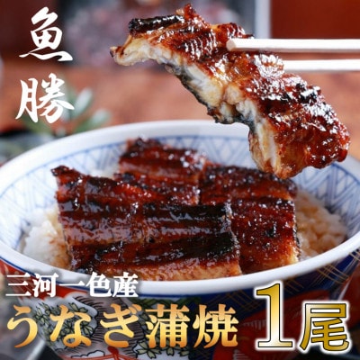 三河一色産うなぎ蒲焼　1尾＜約160g＞