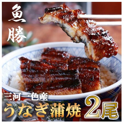 三河一色産うなぎ蒲焼　2尾〈計約320g〉