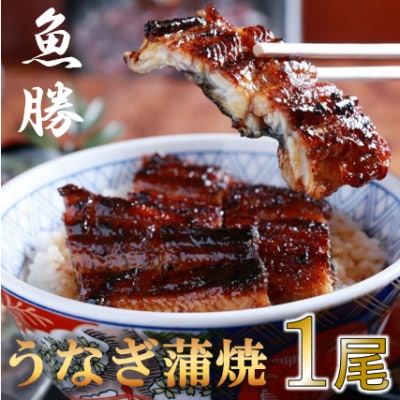 中国産うなぎ蒲焼　1尾〈約160g〉